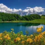 Краснодарский край